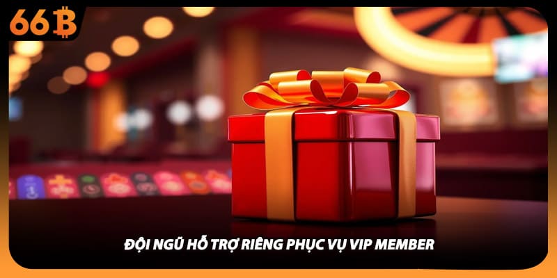 Đội ngũ hỗ trợ riêng phục vụ vip member