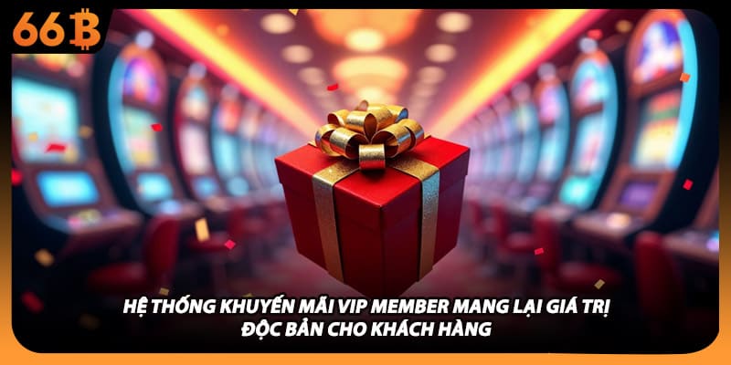 Hệ thống khuyến mãi vip member mang lại giá trị độc bản cho khách hàng