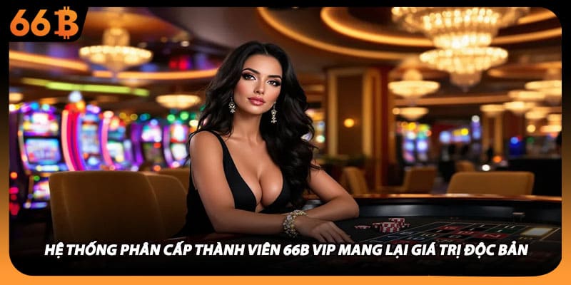 Hệ thống phân cấp thành viên 66B vip mang lại giá trị độc bản
