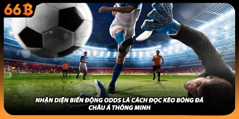 Nhận diện biến động Odds là cách đọc kèo bóng đá châu á thông minh