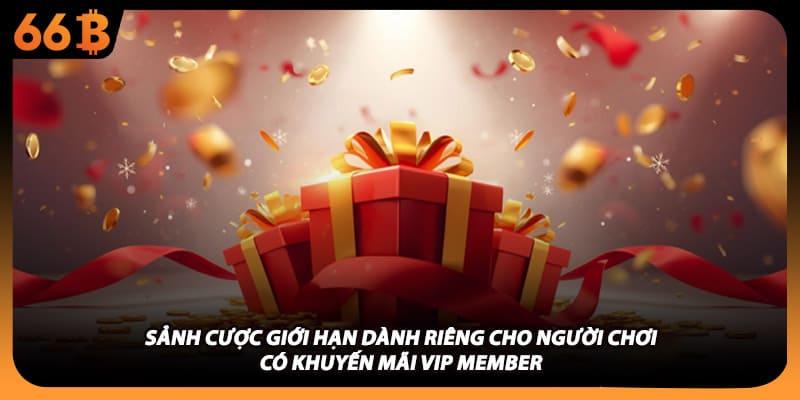 Sảnh cược giới hạn dành riêng cho người chơi có khuyến mãi vip member